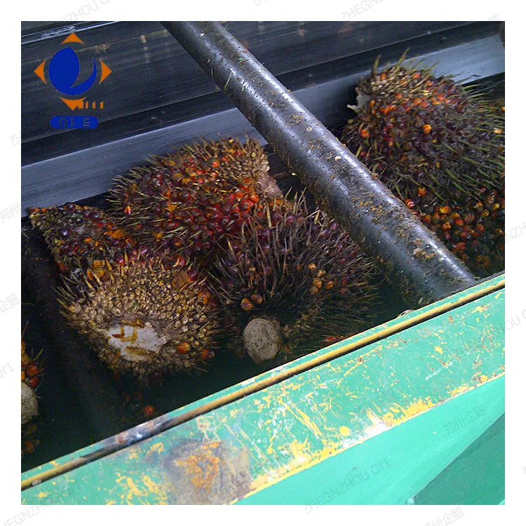 提升油品质量与生产效率：自动油压机解决方案