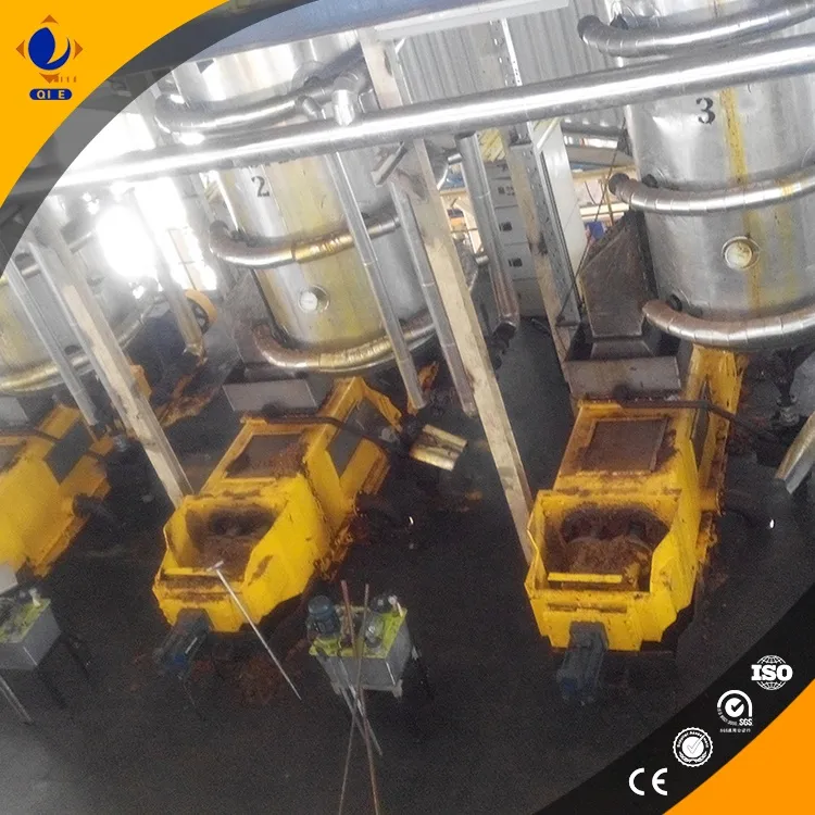 提升油脂加工效益的终极解决方案：企鹅牌榨油与炼油设备