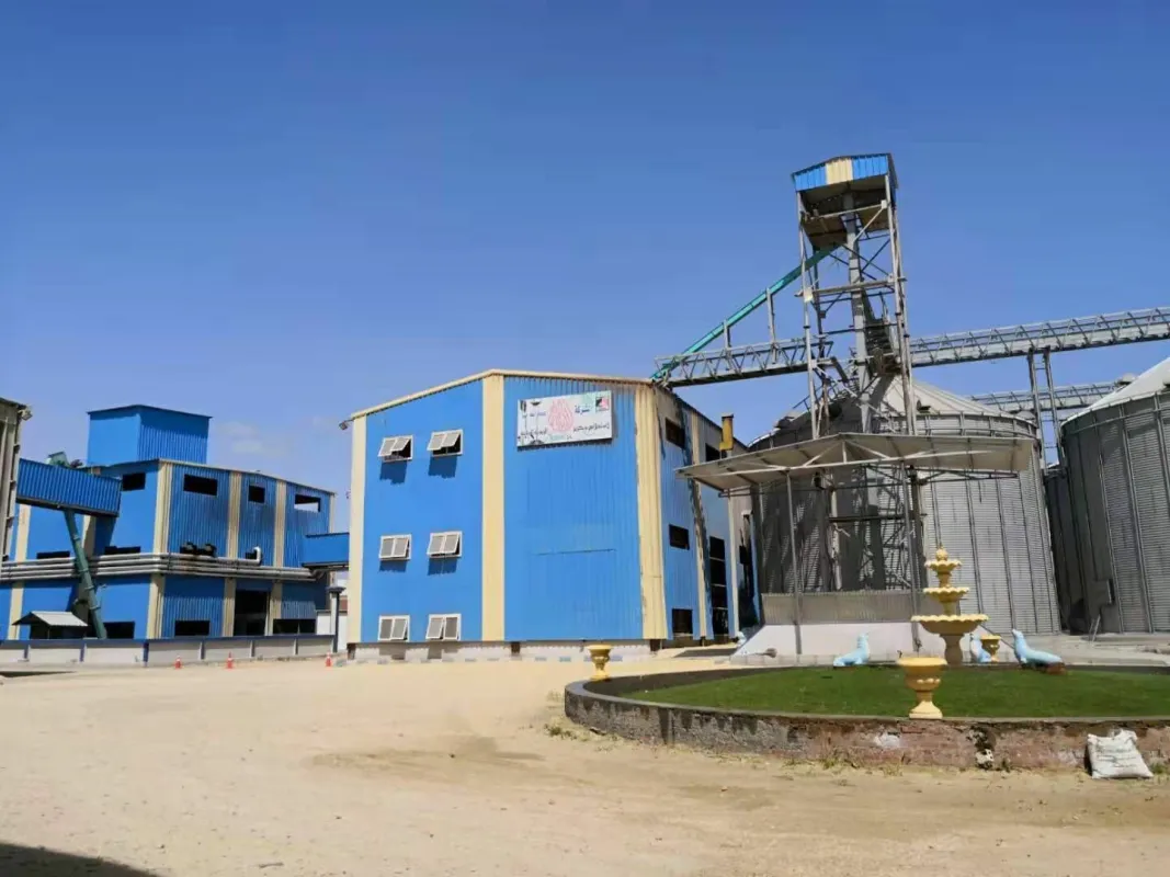 企鹅集团：粮油加工机械领域的领导者