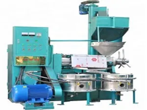 小型棕榈油压榨精炼设备：高效、自动化、耐用的理想选择