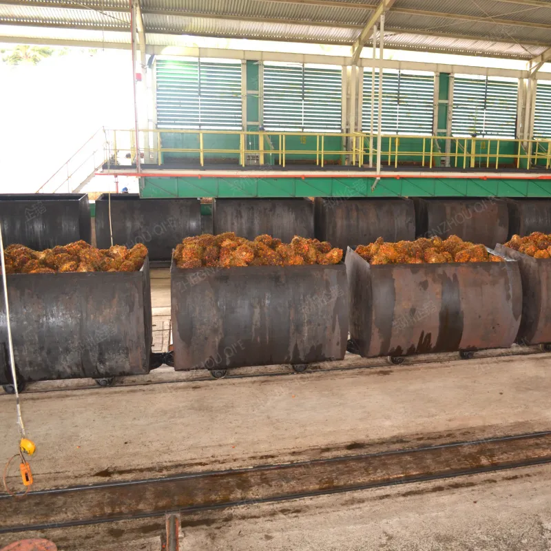 高效提升生产力的利器：企鹅集团30吨/天自动棕榈油榨油机