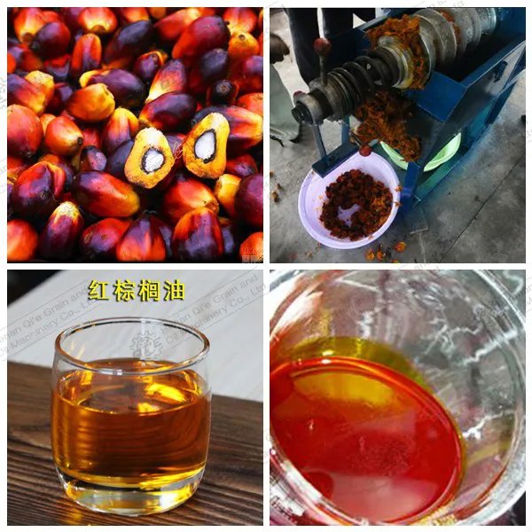 现代农业的高效助手：花生榨油机