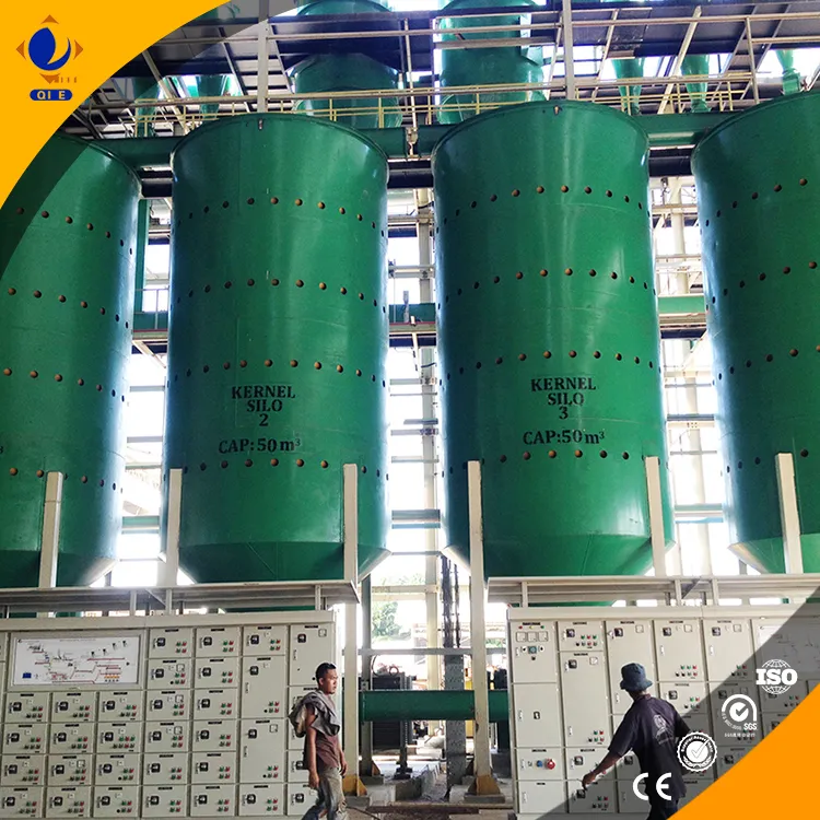 食品饮料厂和农场的理想选择——20吨/天棕榈油加工生产线