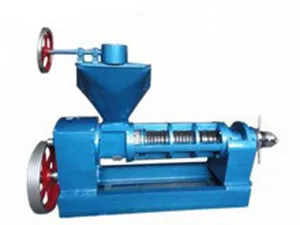 高效棕榈仁榨油机助力企业高效生产，解决能源消耗和品质难题