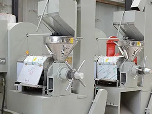 棕榈油提取工艺详解：提升生产效率与产品质量