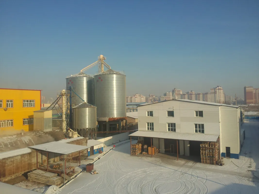 多功能螺旋冷热榨油机 - 提高生产效率与油品质量的利器