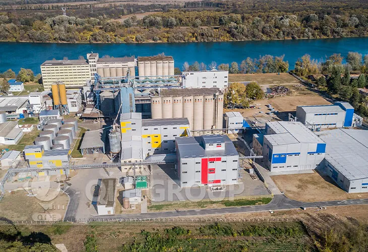 探索棕榈油加工高效解决方案：企鹅集团棕榈油加工设备