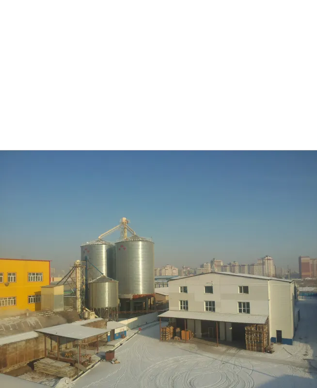 开启棕榈油高效生产新时代——企鹅集团全自动棕榈果/棕榈仁油压榨机生产线