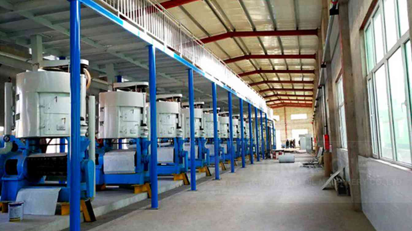 中型螺杆榨油机