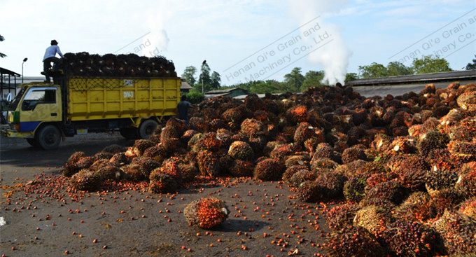 Palm oil production line-2.jpg