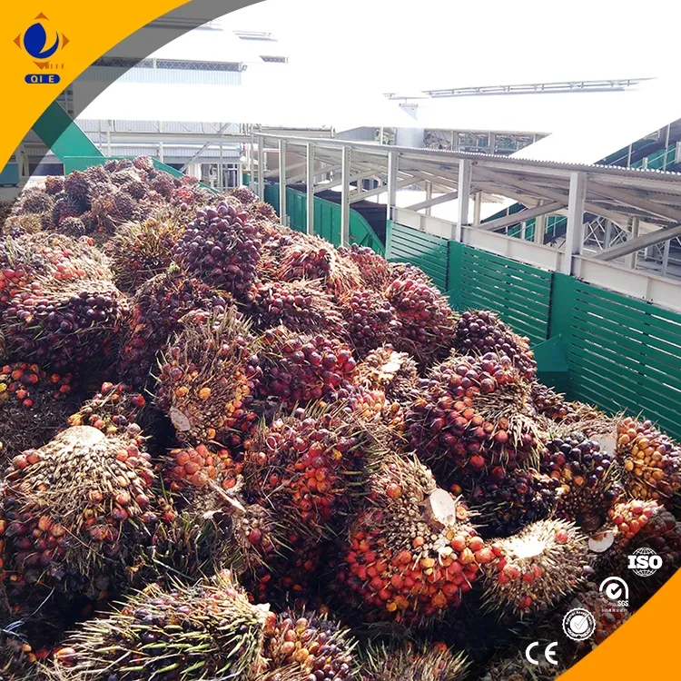 小型棕榈油加工设备：为小规模生产提供高效解决方案